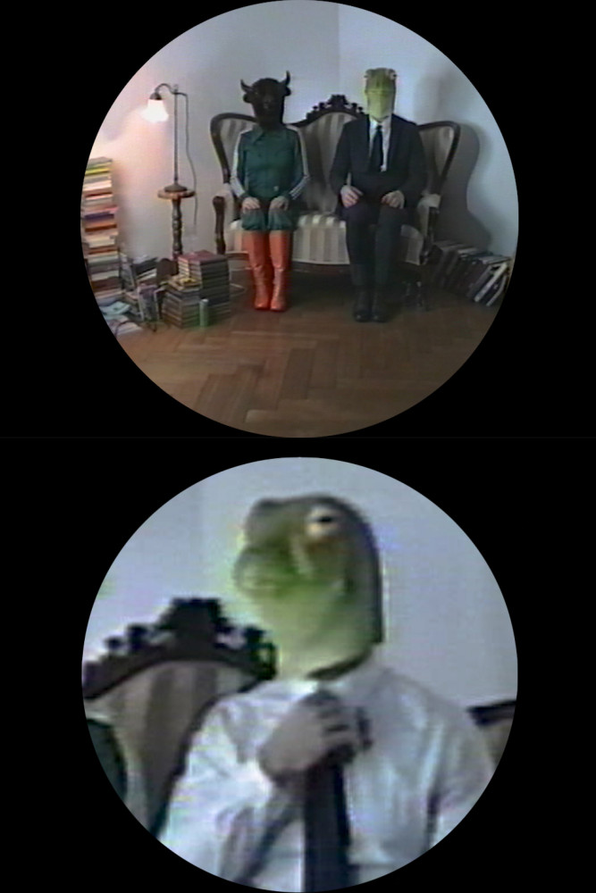 frog3.jpg