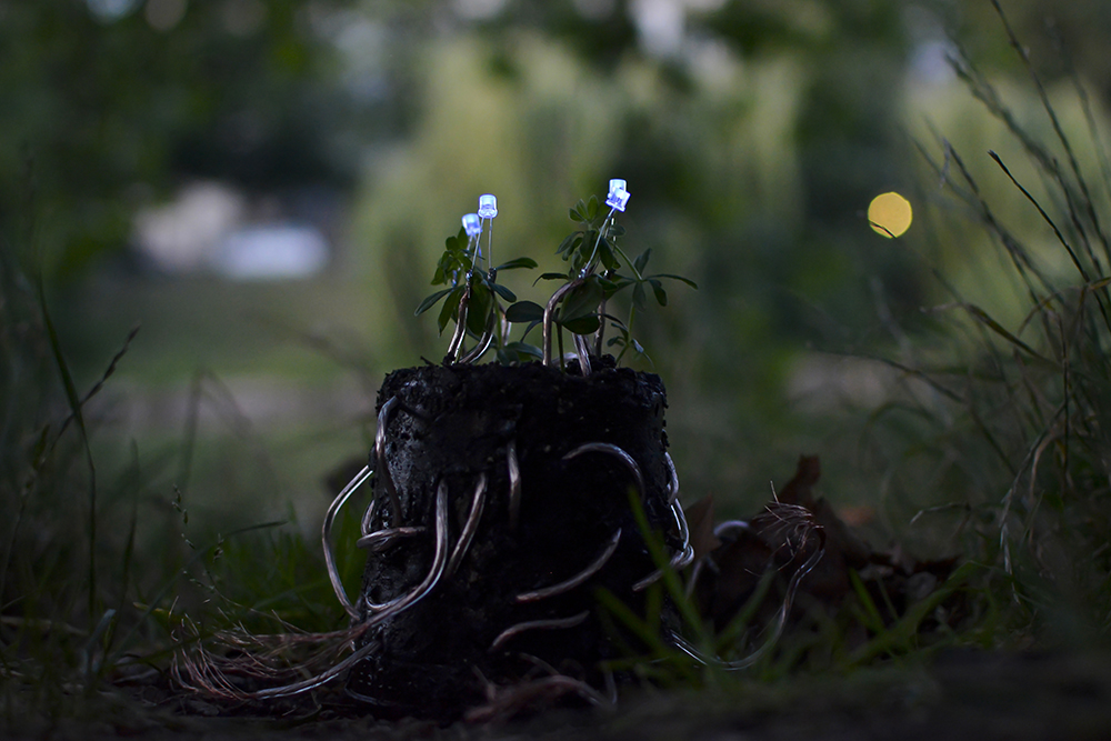 plant-lamp_julius-fuehrer_02.jpg