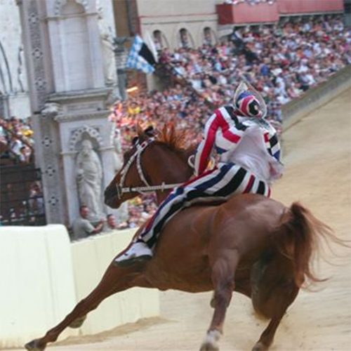 preview image of Palio