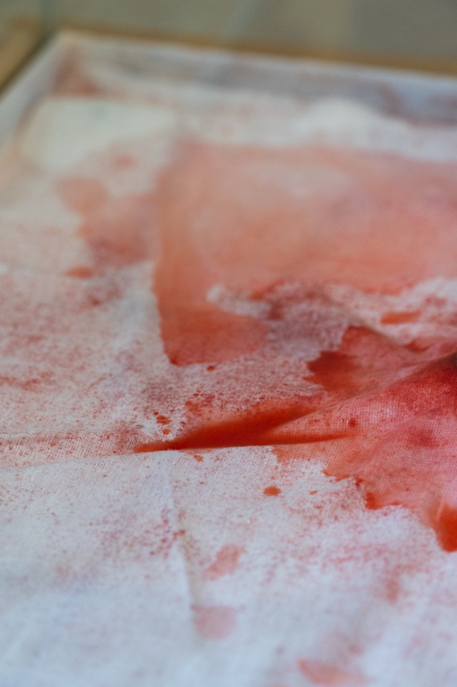 stain_documentation_3-lower_resolution.jpeg