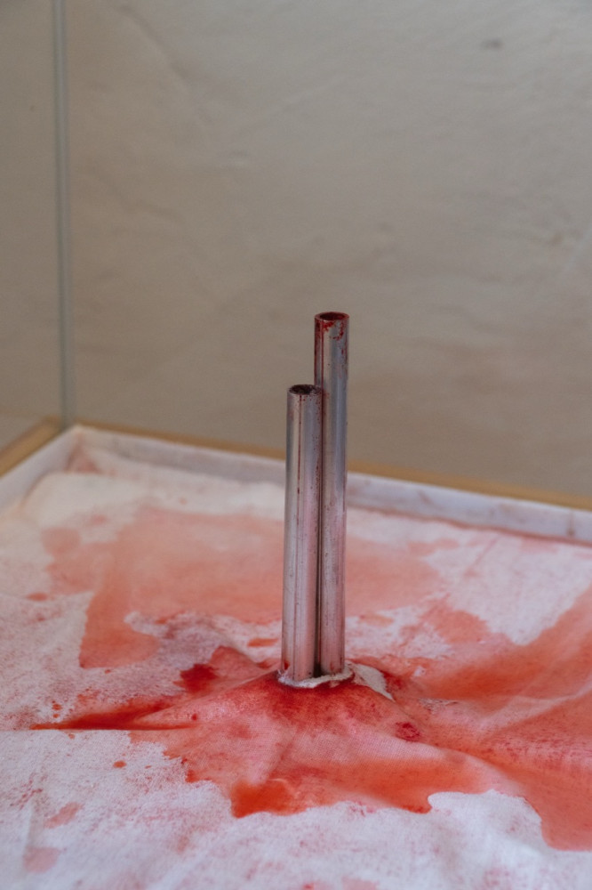 stain_documentation_2-lower_resolution.jpeg
