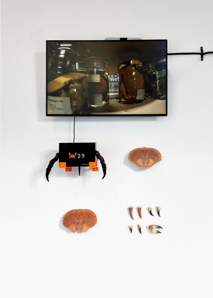 letsgetcrabbyexhibition.jpg