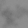 preview image for Durations of Fauna